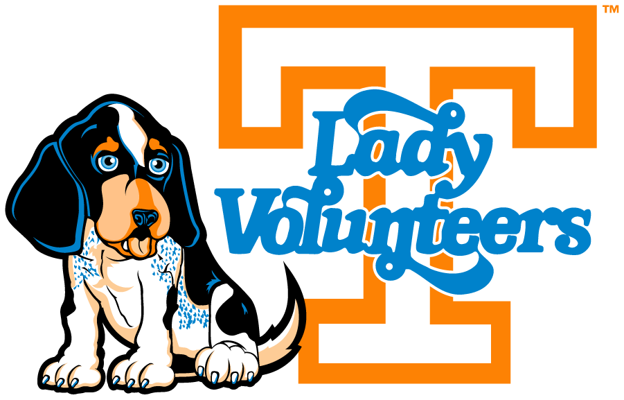 Tennessee Volunteers 2005-2015 Misc Logo diy DTF decal sticker